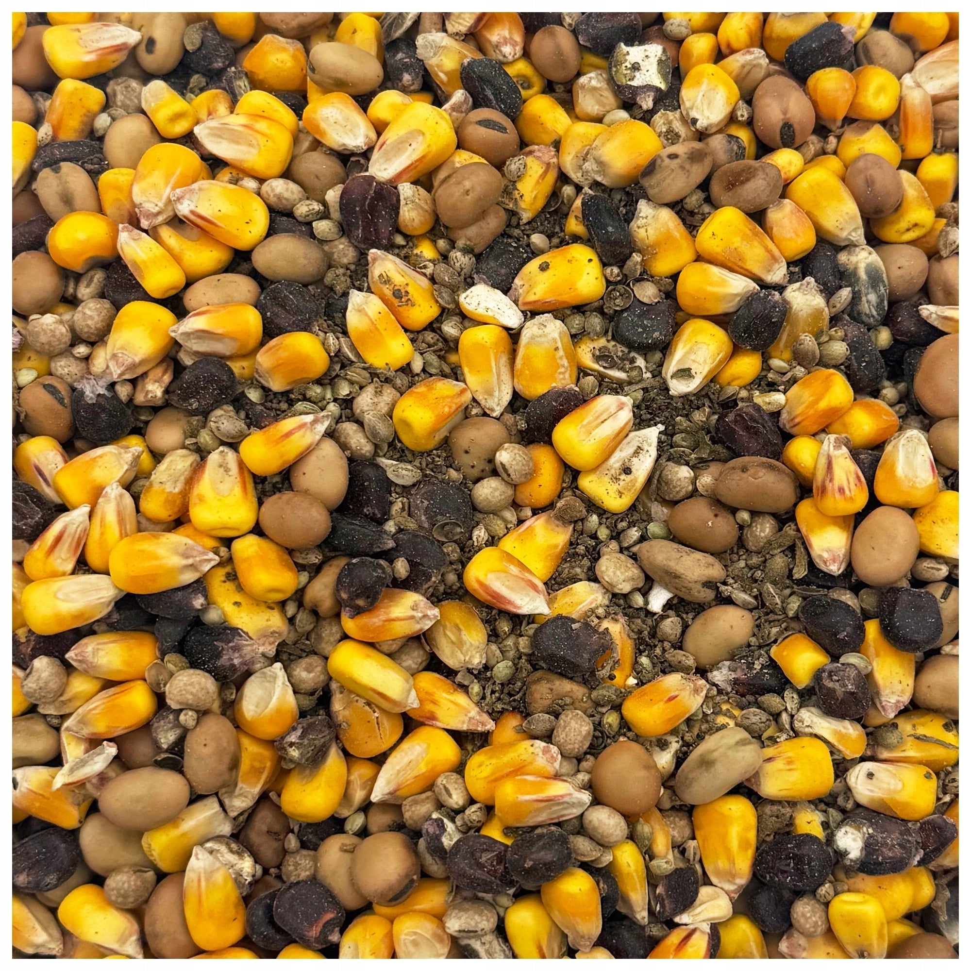 Maize bean lupine hemp MIX FISHING GRAINS bait grain 4,5kg Manufacturer code CHWZmix4,5