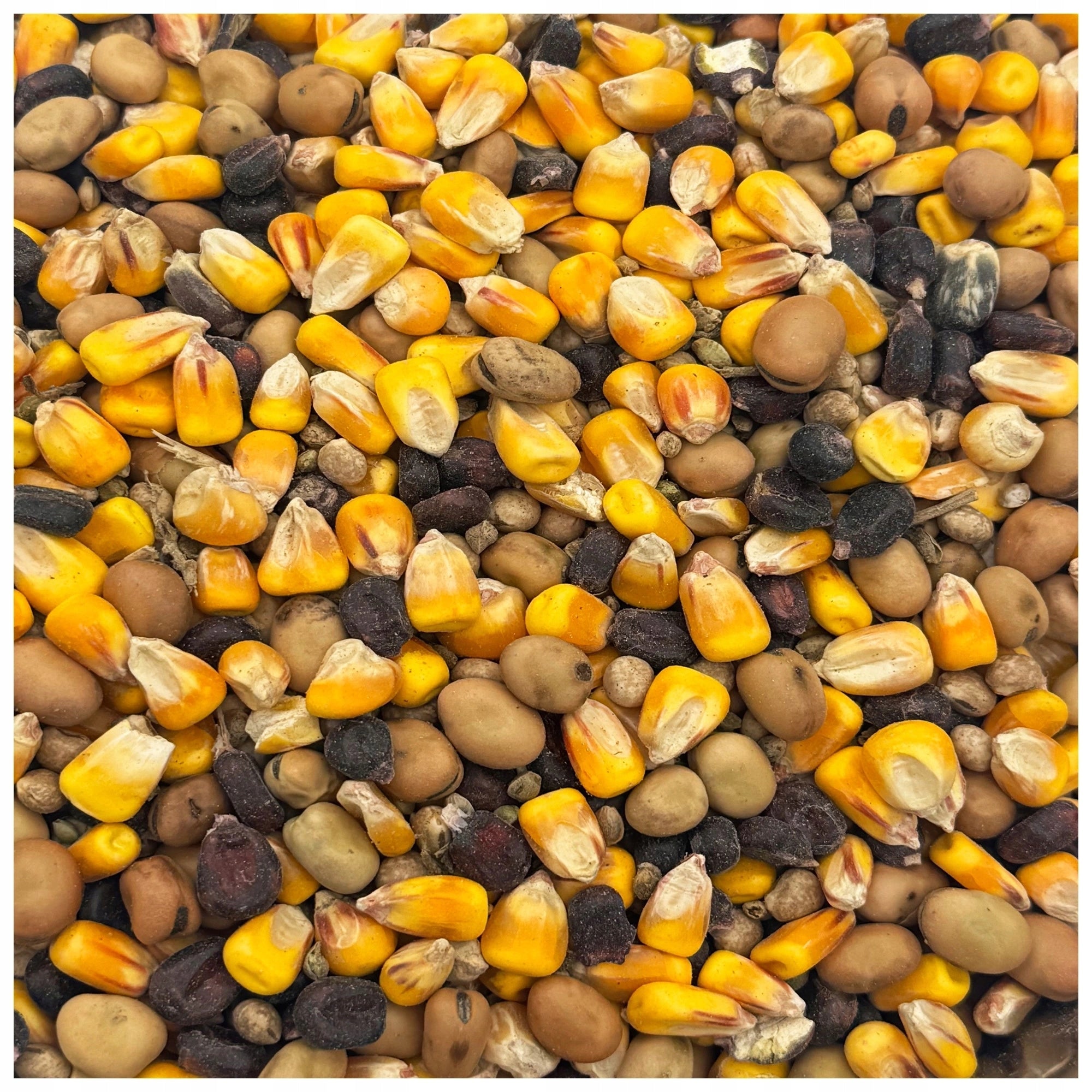 Maize bean lupine hemp MIX FISHING GRAINS bait grain 4,5kg Packaging status original