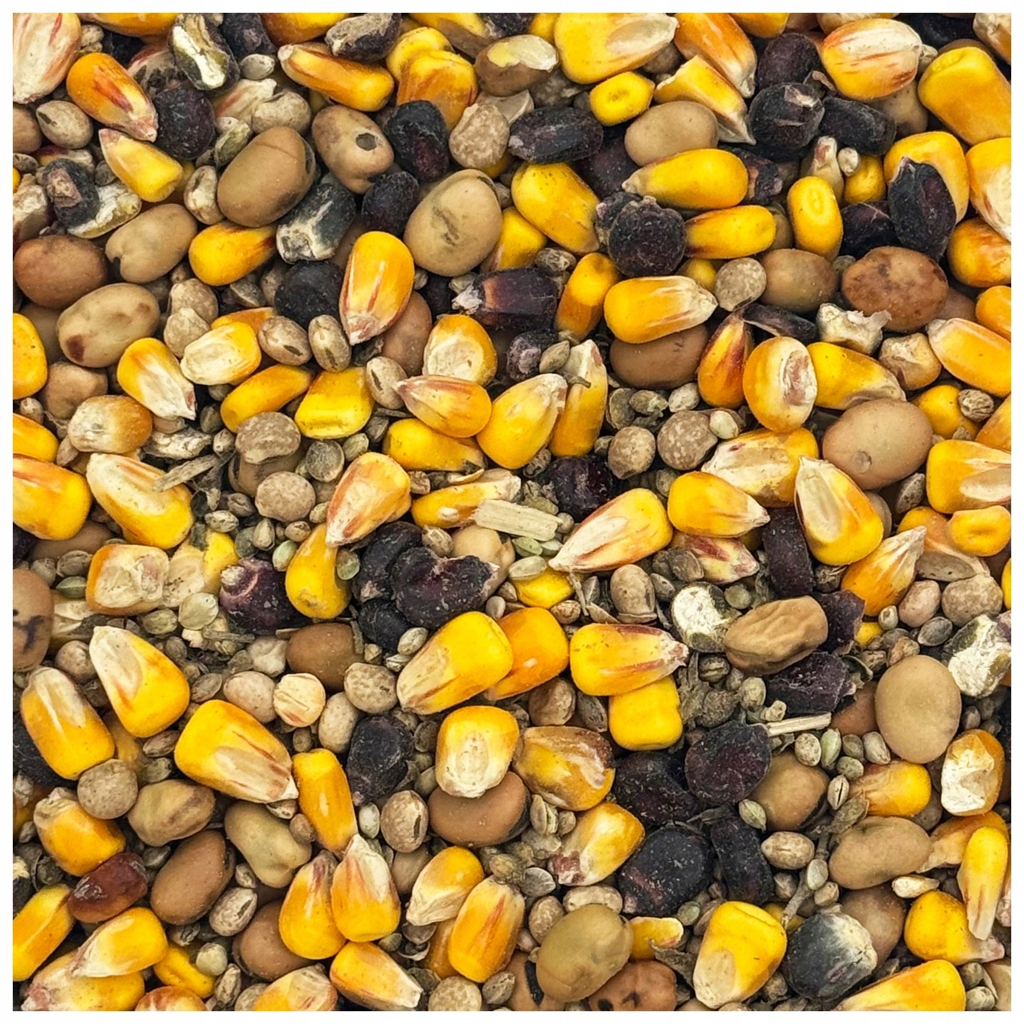 Maize bean lupine hemp MIX FISHING GRAINS bait grain 4,5kg