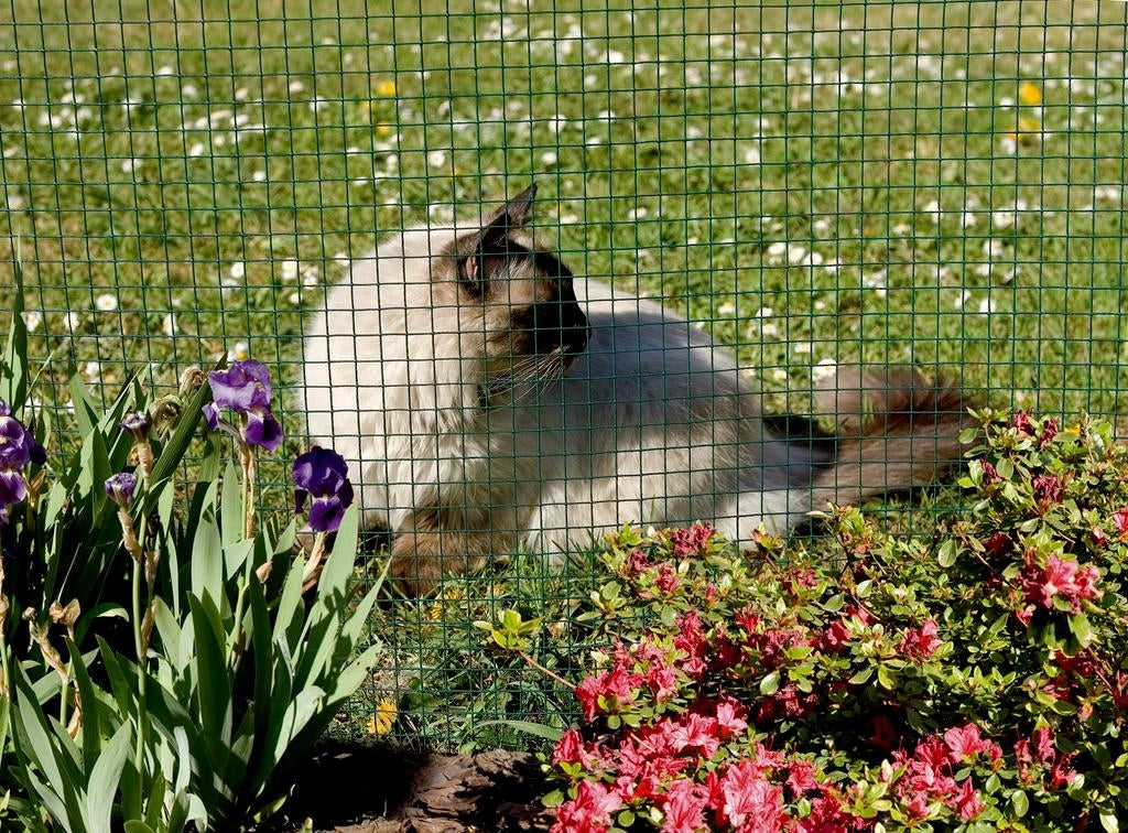 Metal Coated Breeding Mesh 0,5x5m 13x13mm 50cm Discount Garden Manufacturer code Siatka 0,5x5m 13 Fensanet Plast
