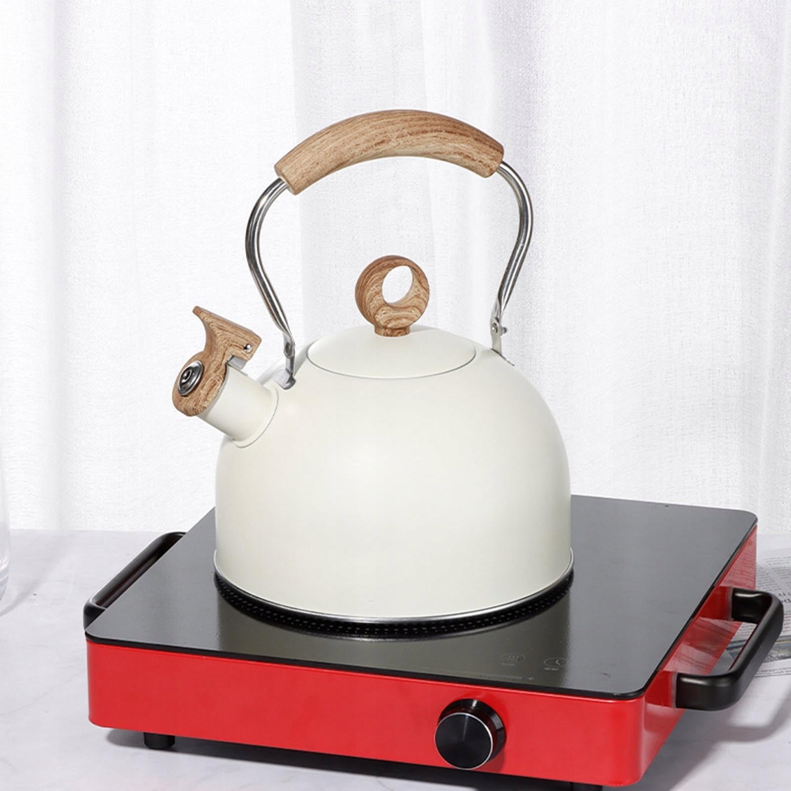 Modern Stainless Steel Tea Kettle Cooker Teapot for Camping Beige white