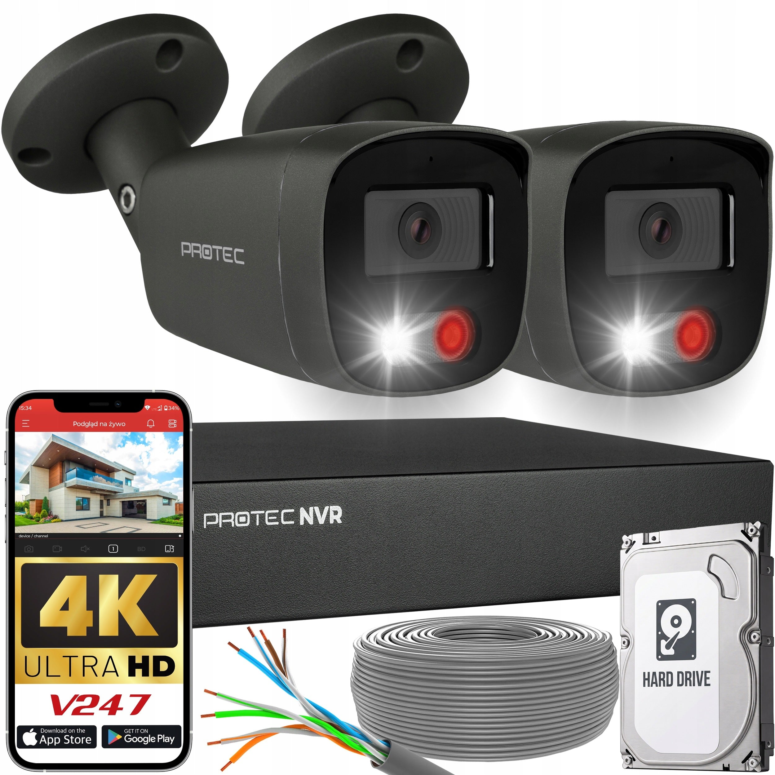 Monitoring Kit 2 IP Cameras 4K PoE Microphone Detection HDD 1TB