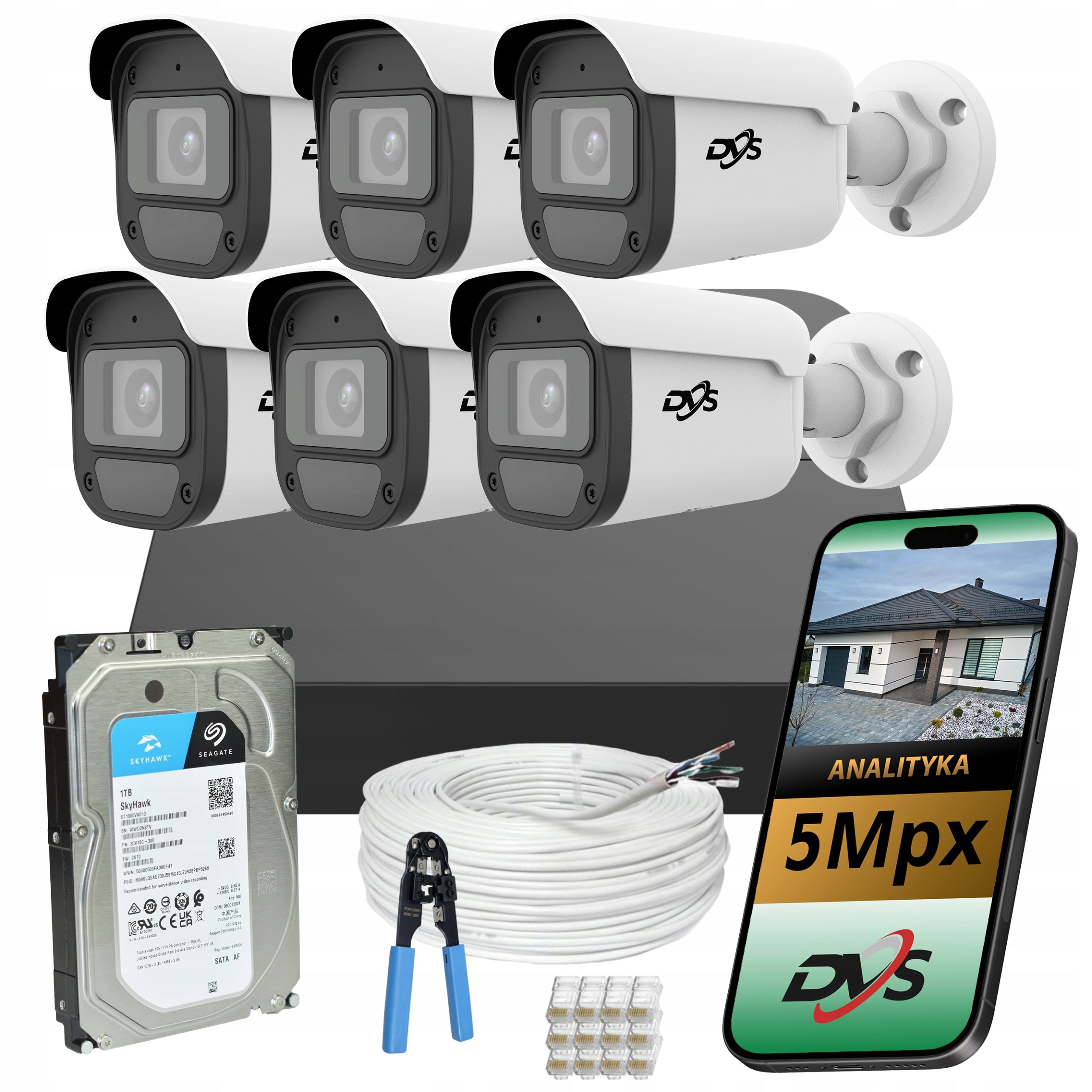 Monitoring kit 6 PoE IP cameras 5Mpx horn drive 1TB company shop AI DVS