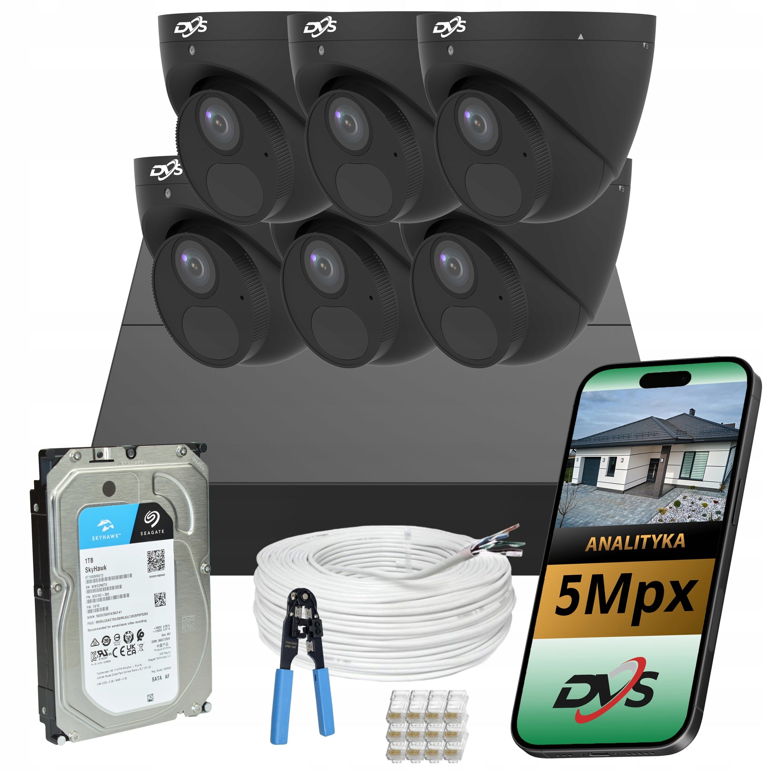 Monitoring kit 6 dome cameras black IP PoE 5Mpx drive 1TB company
