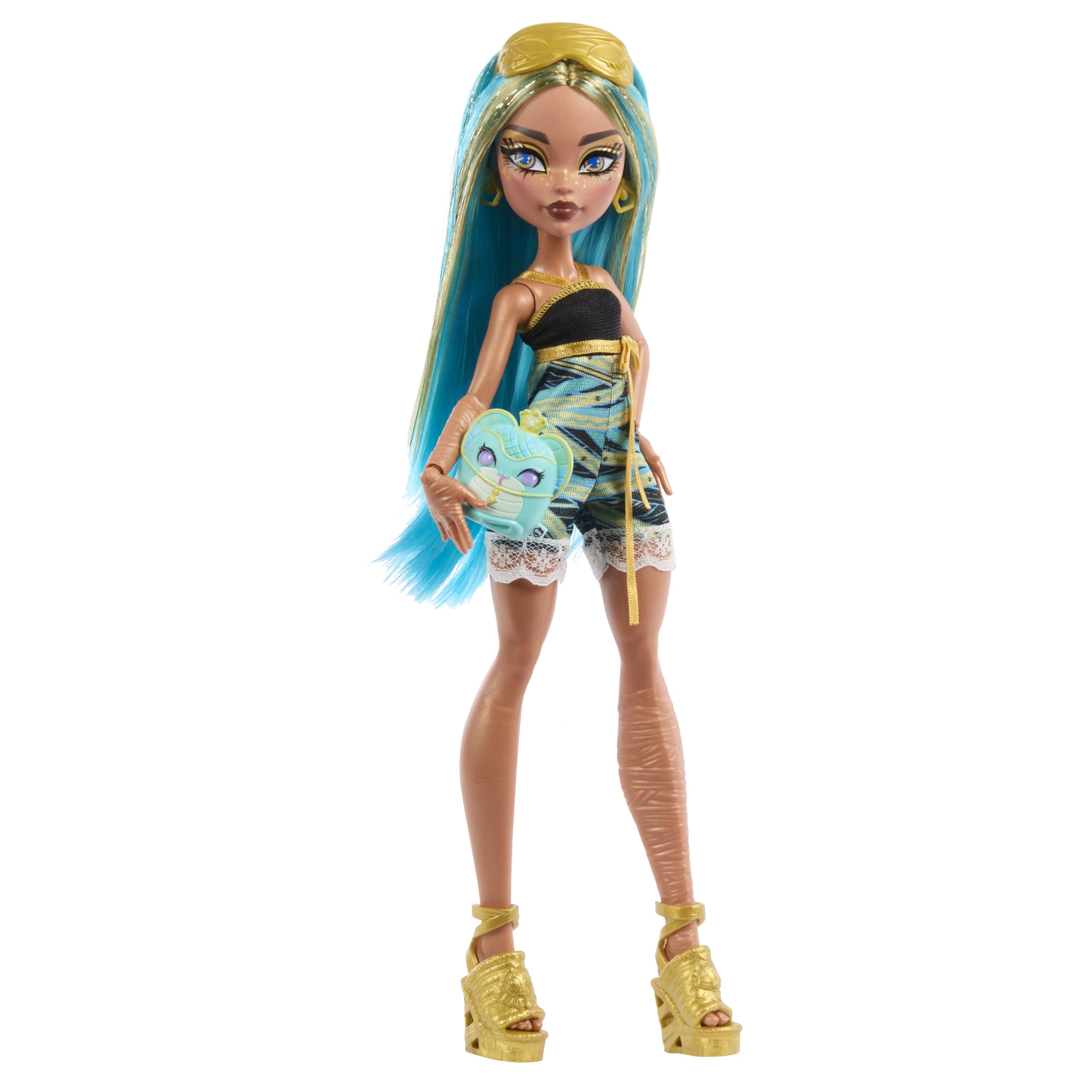 Monster High Hidden Secrets Doll and Accessories HYV64 Brand Monster High