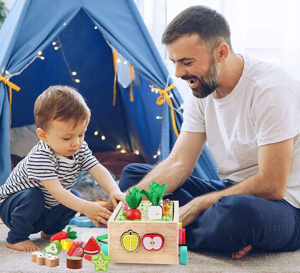 Montessori Sorter Blocks Catch Worm Puzzle Wooden Carrot Stroller Manufacturer code JHTOY-556