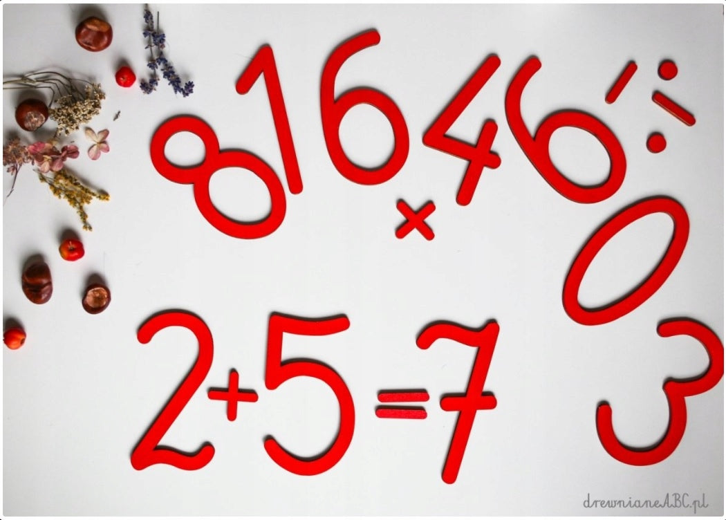 Movable Montessori Wooden Painted Numbers