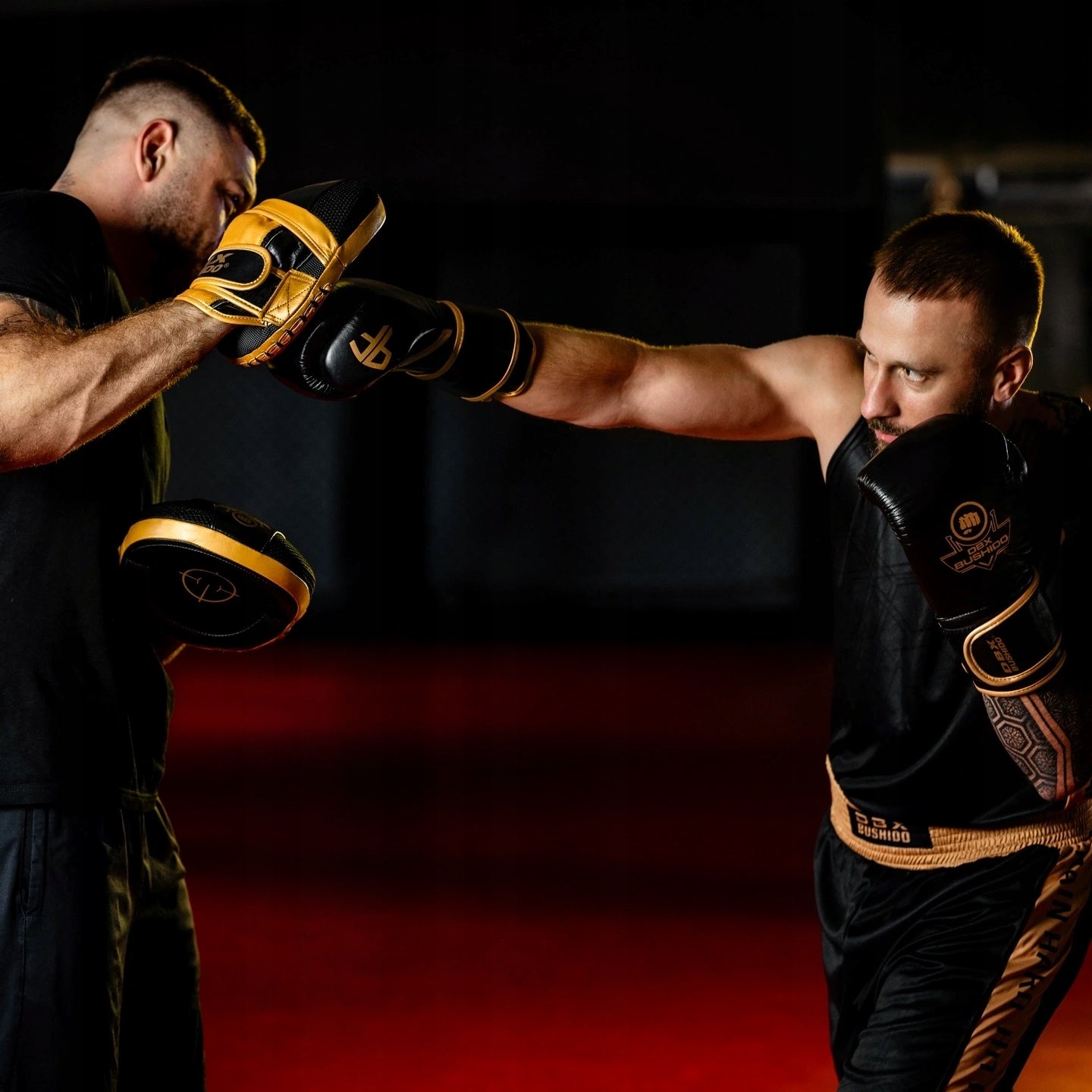 Multilayer boxing gloves - ProFighter Gold | DBX Bushido Brand DBX BUSHIDO