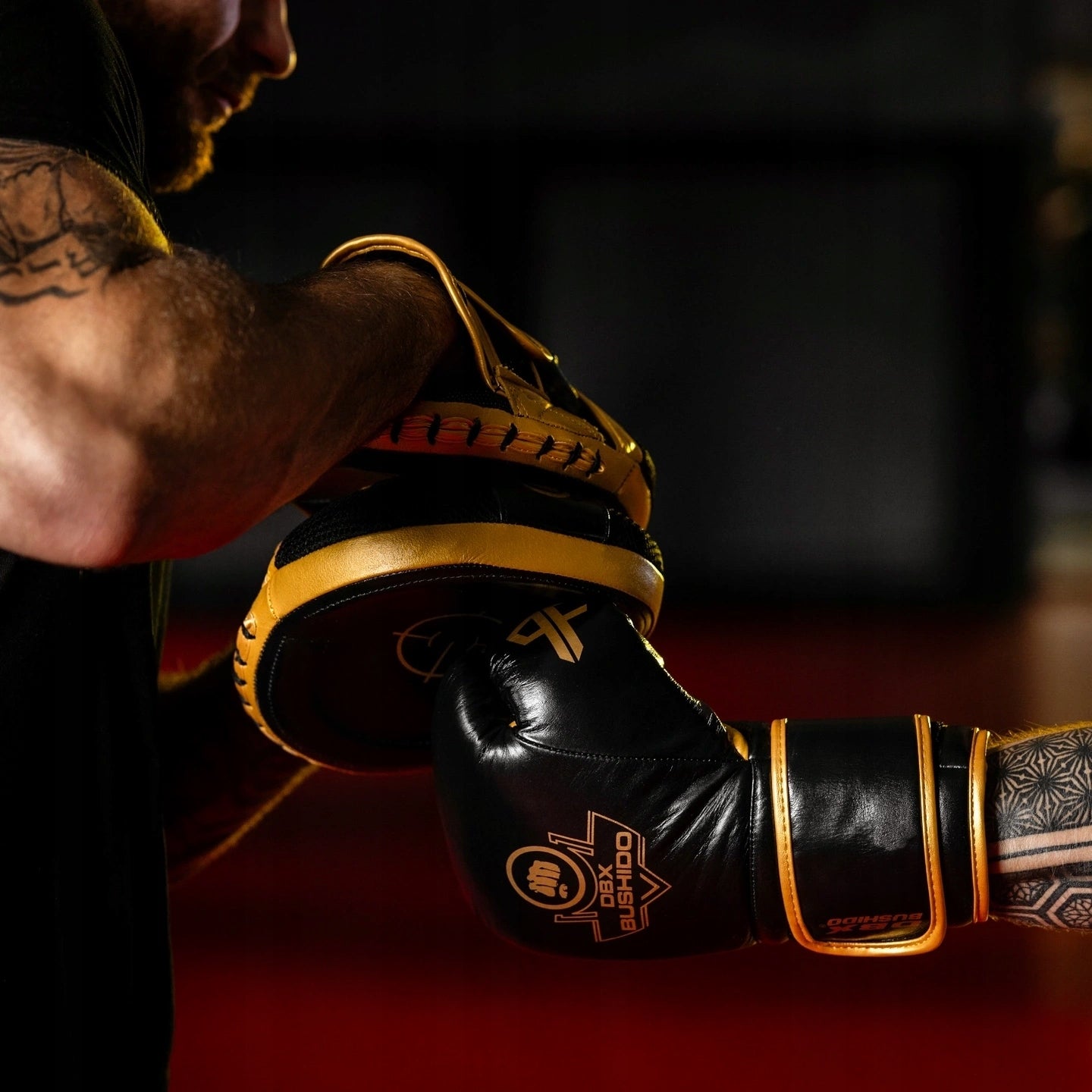 Multilayer boxing gloves - ProFighter Gold | DBX Bushido Packaging status original