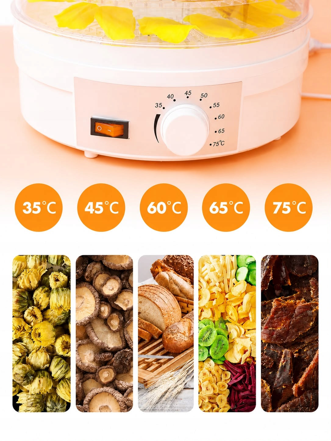 Mushroom and fruit dryer food grade regulation 600w 5 levels Manufacturer code Suszarka