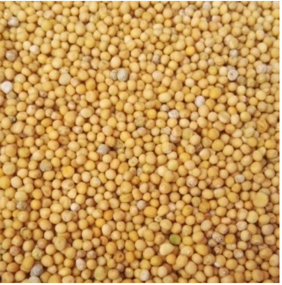 Mustard mattress with buckwheat husk 90x200 plus pillow Natural and healthy Mattress length 200 cm