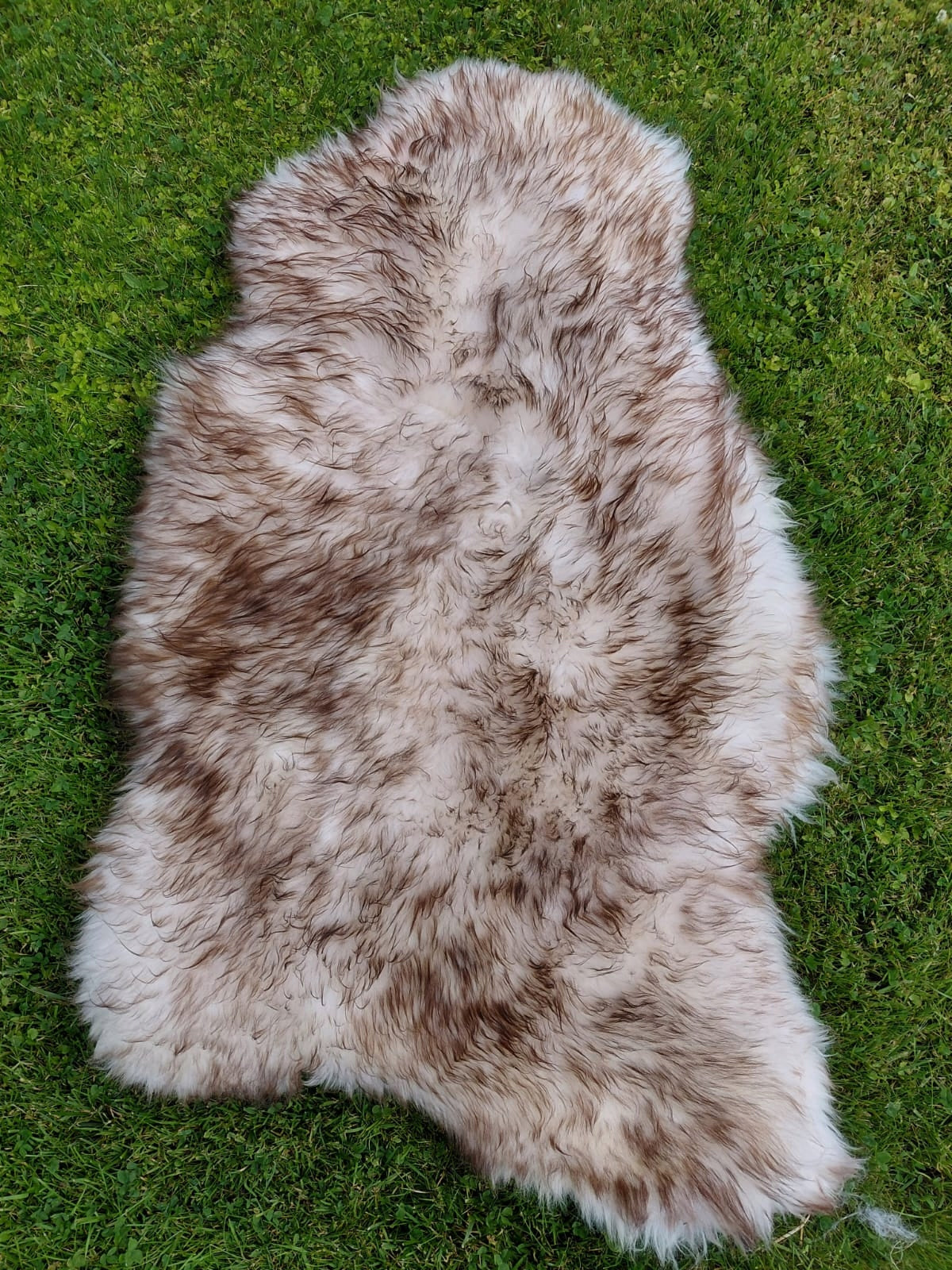 NATURAL SHEEPSKIN 2 CLASS SHEEPSKIN 2 CATEGORY Manufacturer code SKU1