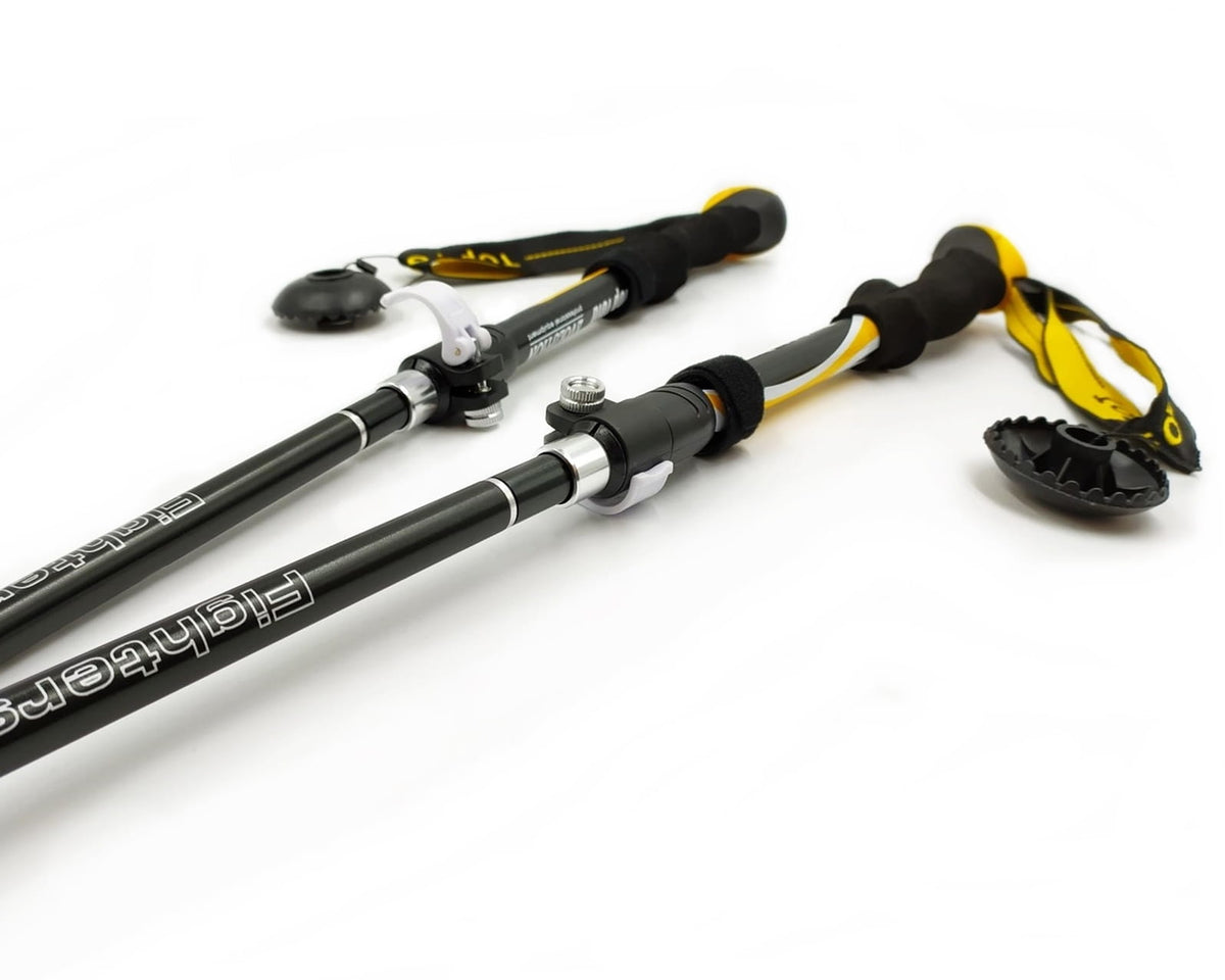 NORDIC TREKKING POLES EVOLUTION TOP FOLD Brand Evolution