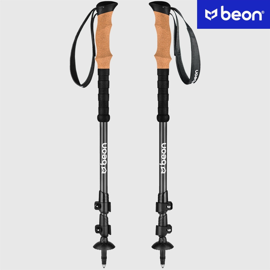 NORDIC WALKING POLES CARBON POLES Color black