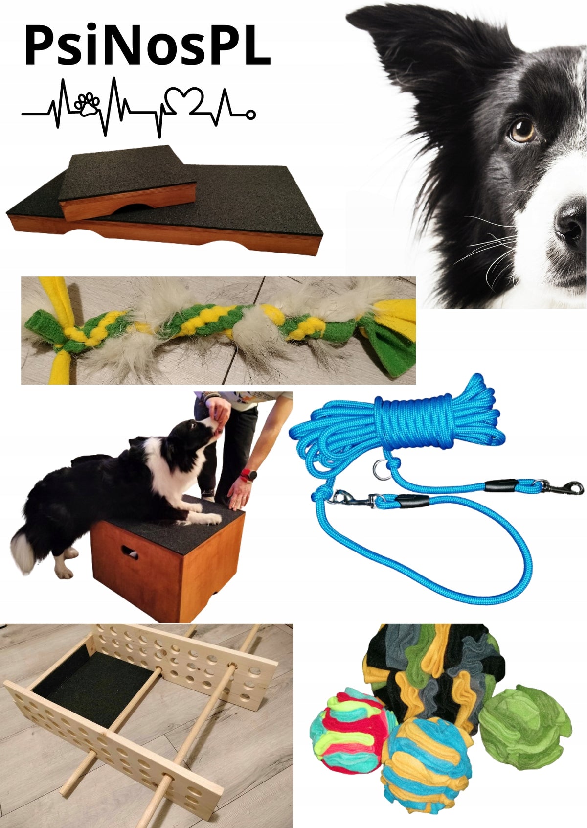 NOSEWORK LARGE Starter Kit for Dog Training with Dog Cans Learning Containers Brand PsiNos