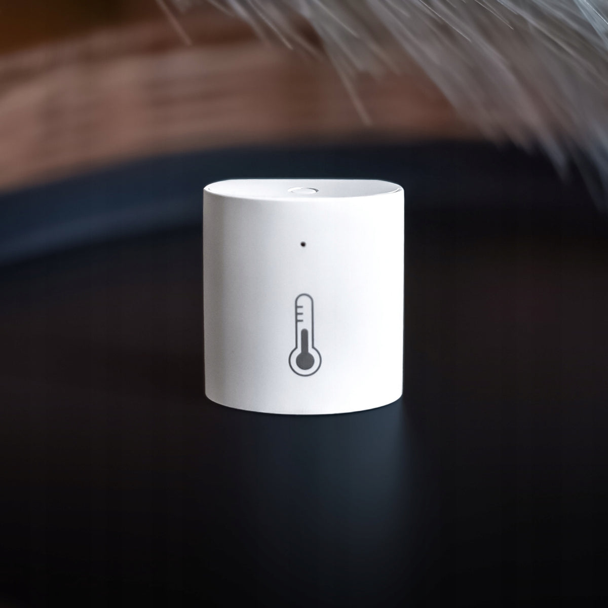 NOUS E5 ZigBee Humidity Temperature Sensor Smart Home Alexa Google Brand Nous
