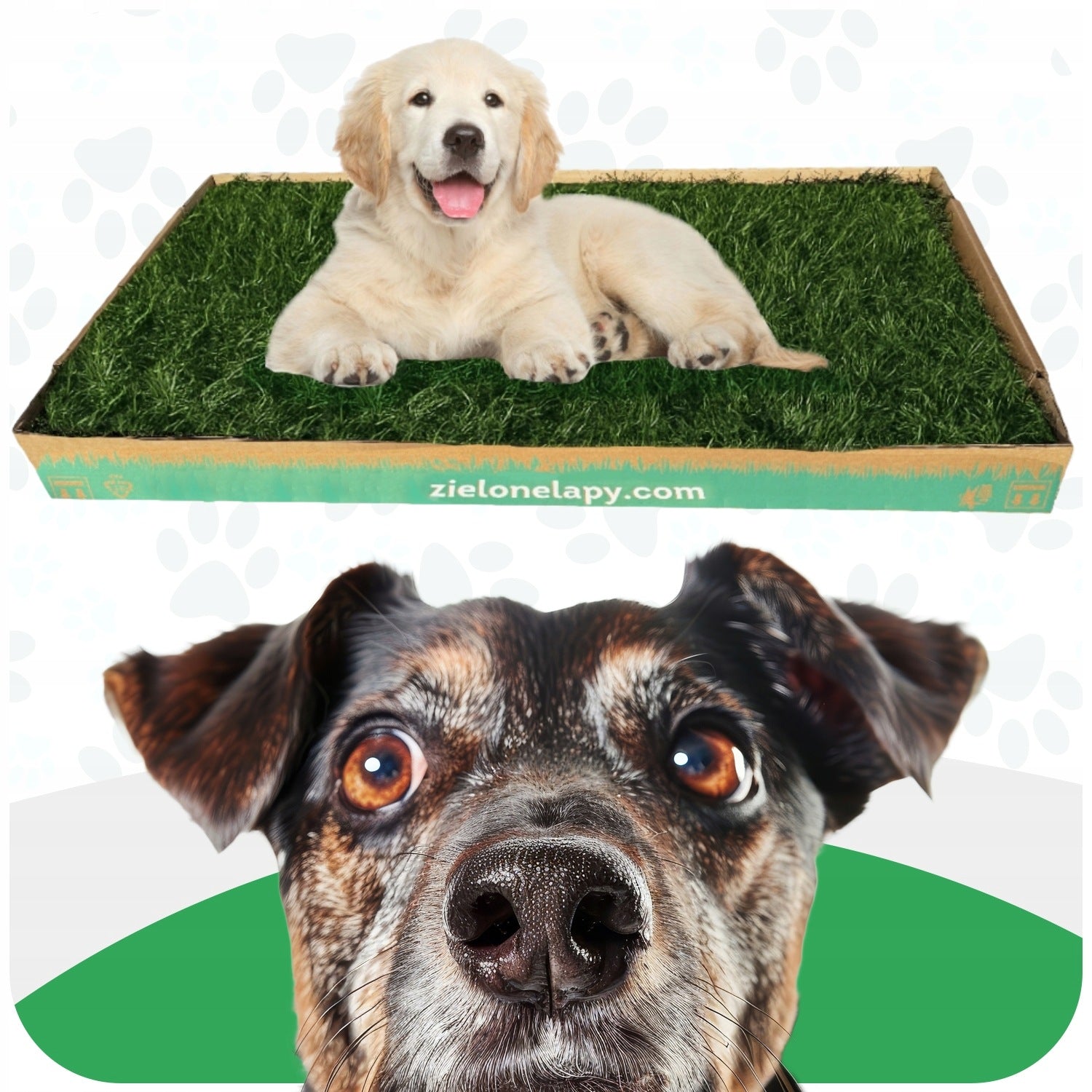 Natural Grass Cuvette 100x50 Toilet for Big Dog Puppy Manufacturer code 9658882