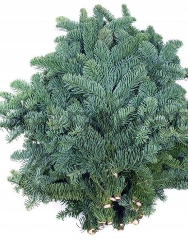 Nobilis Fir Branches, 5 kg bundle
