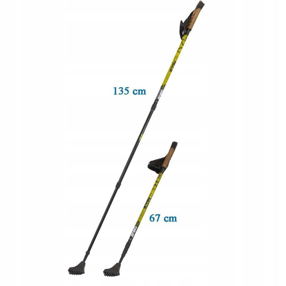 Nordic Walking poles ENERO Newicon + Cover Tip made of steel