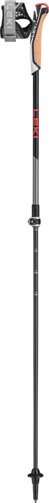 Nordic walking poles LEKI Instructor Lite black and silver 65326341