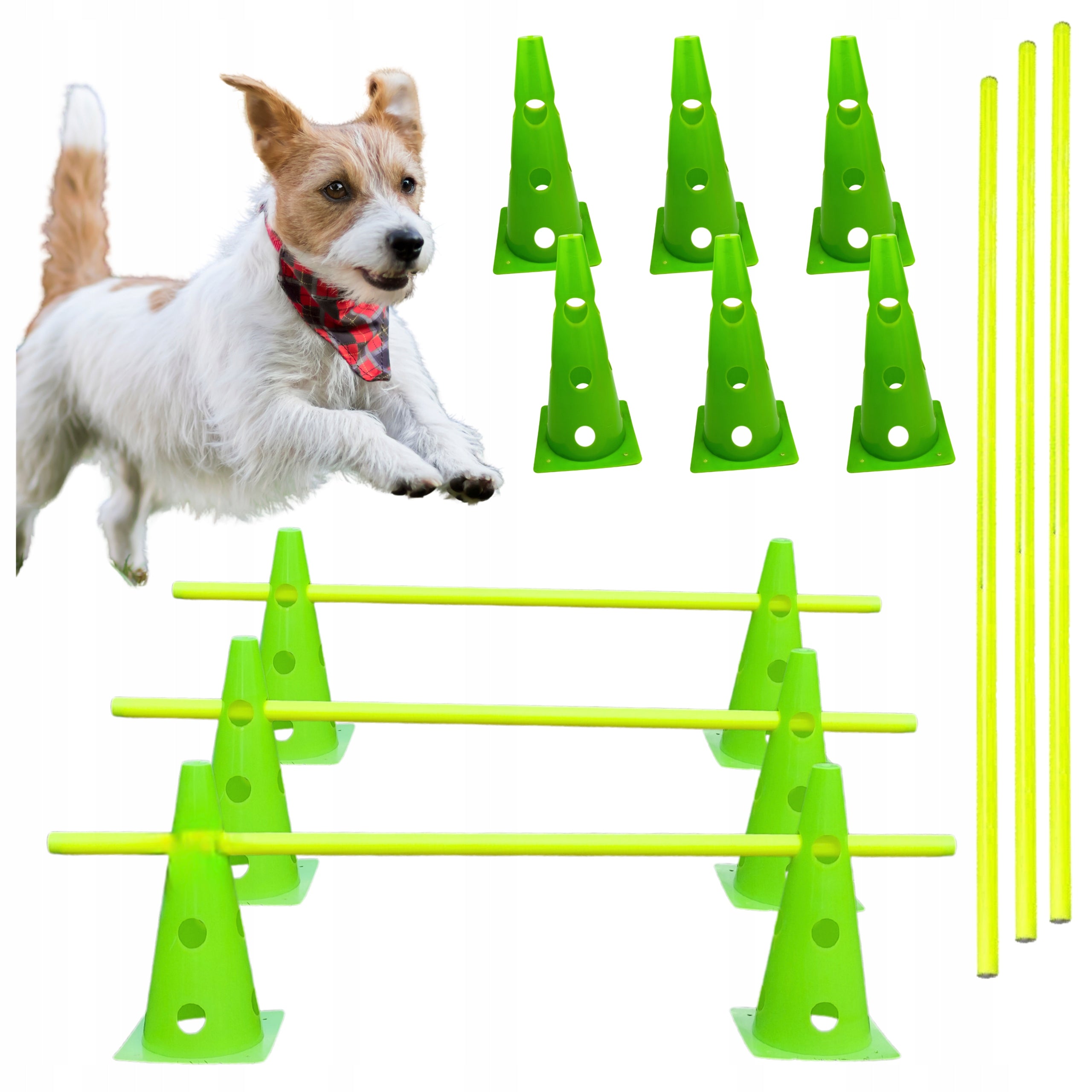 OBSTACLE COURSE Cones Training Dog ACTIVITY AGILITY