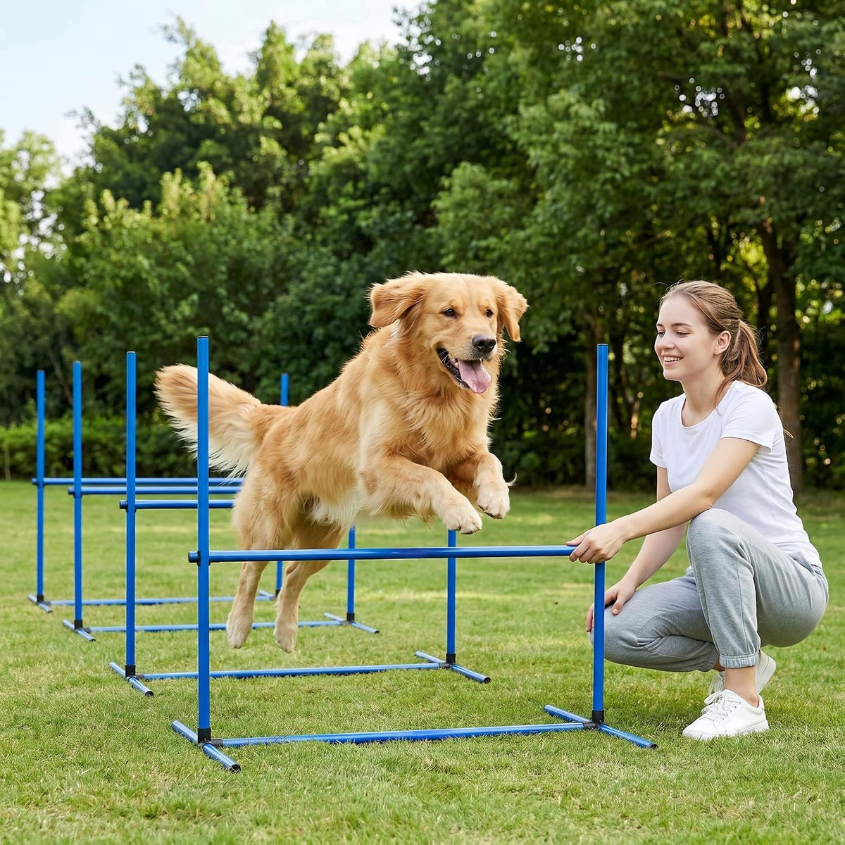 OBSTACLE COURSE HOOPERS AGILITY FOR DOG OBSTACLES SET OF 4PCS WITH BAG Brand no brand