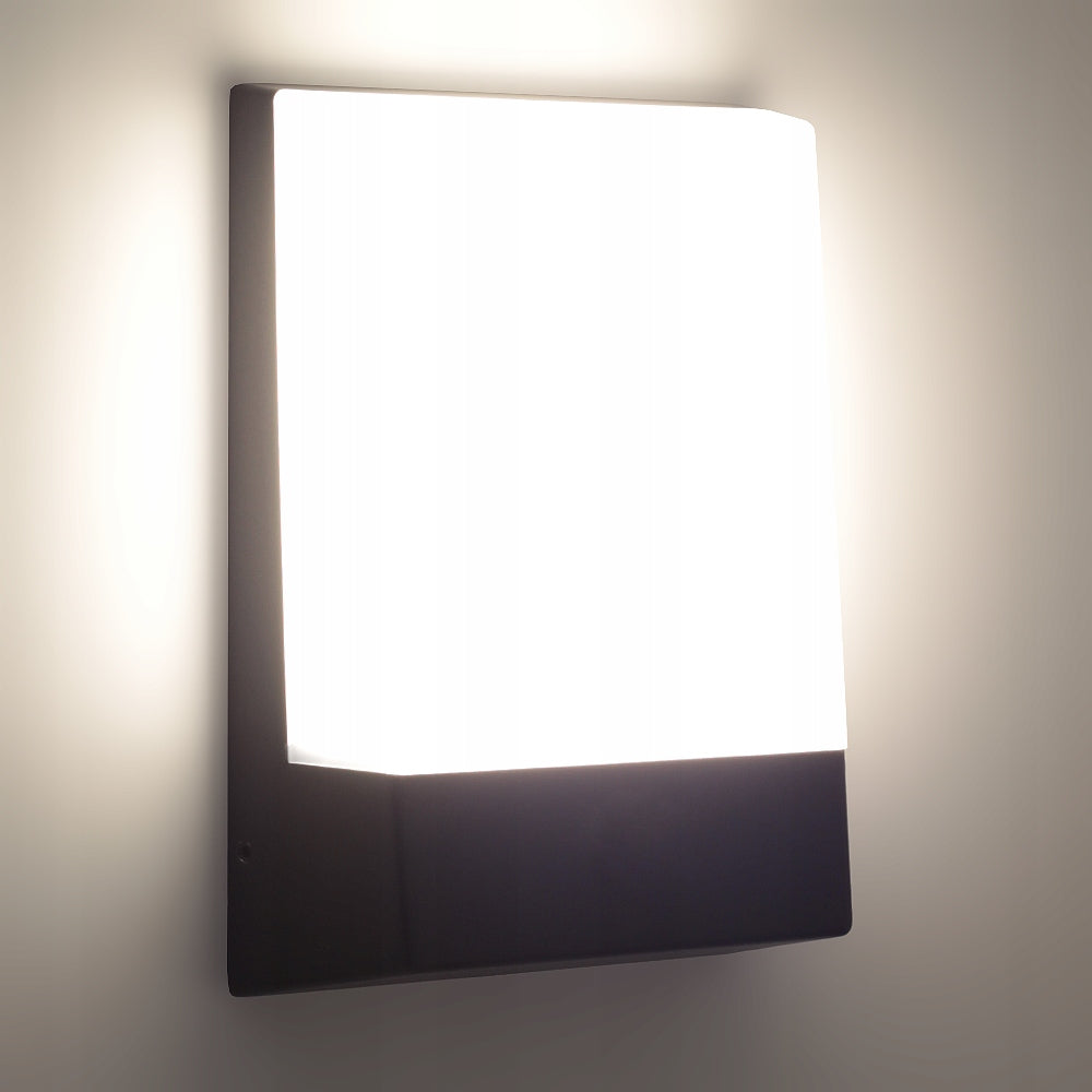 OUTDOOR WALL LAMP LED GARDEN FACADE LAMP 12W IP54 WATERPROOF Batteries included no