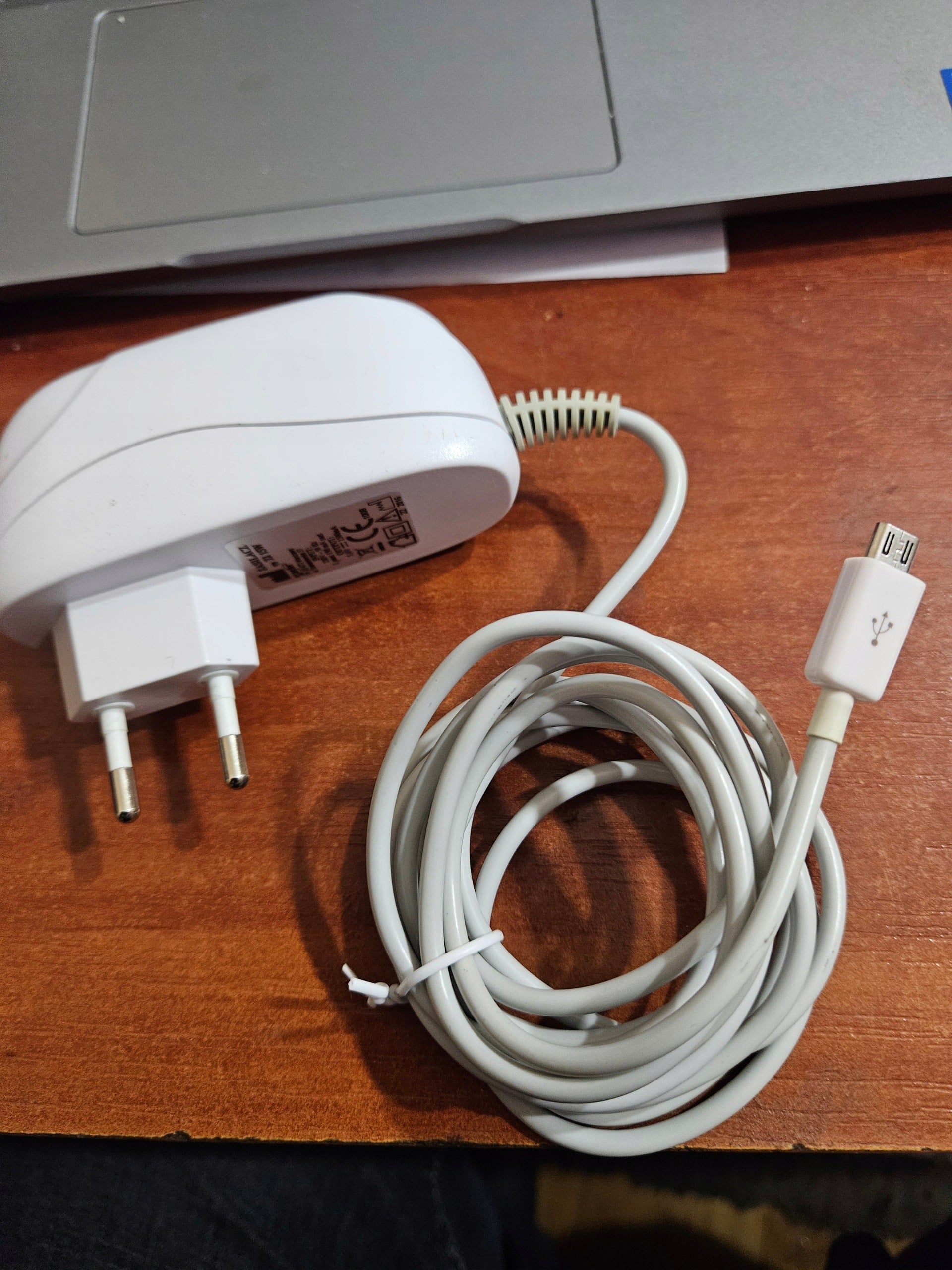 Original charger for Bioptron Medolight Z4L Zepter