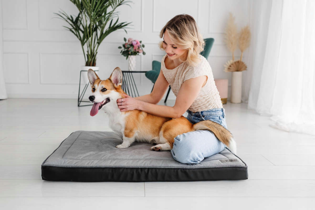 Orthopedic bed for dog mattress 100x70 Manufacturer code 673-uniw