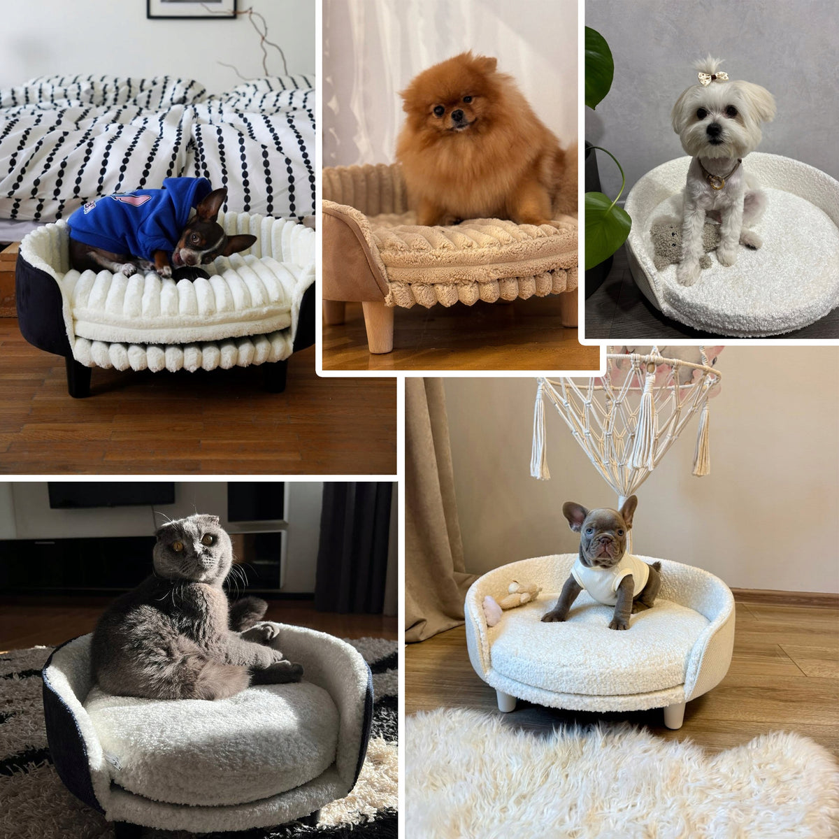 Orthopedic bed sofa couch XL for cat legs soft mat + FREEBIE Manufacturer code Legowisko dla kota dużego wygodne na nóżkach