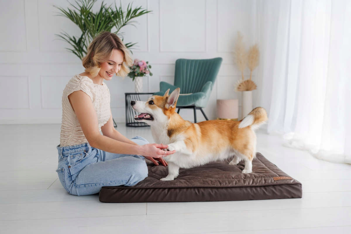 Orthopedic dog bed, mattress 100x70 Manufacturer code 705-uniw
