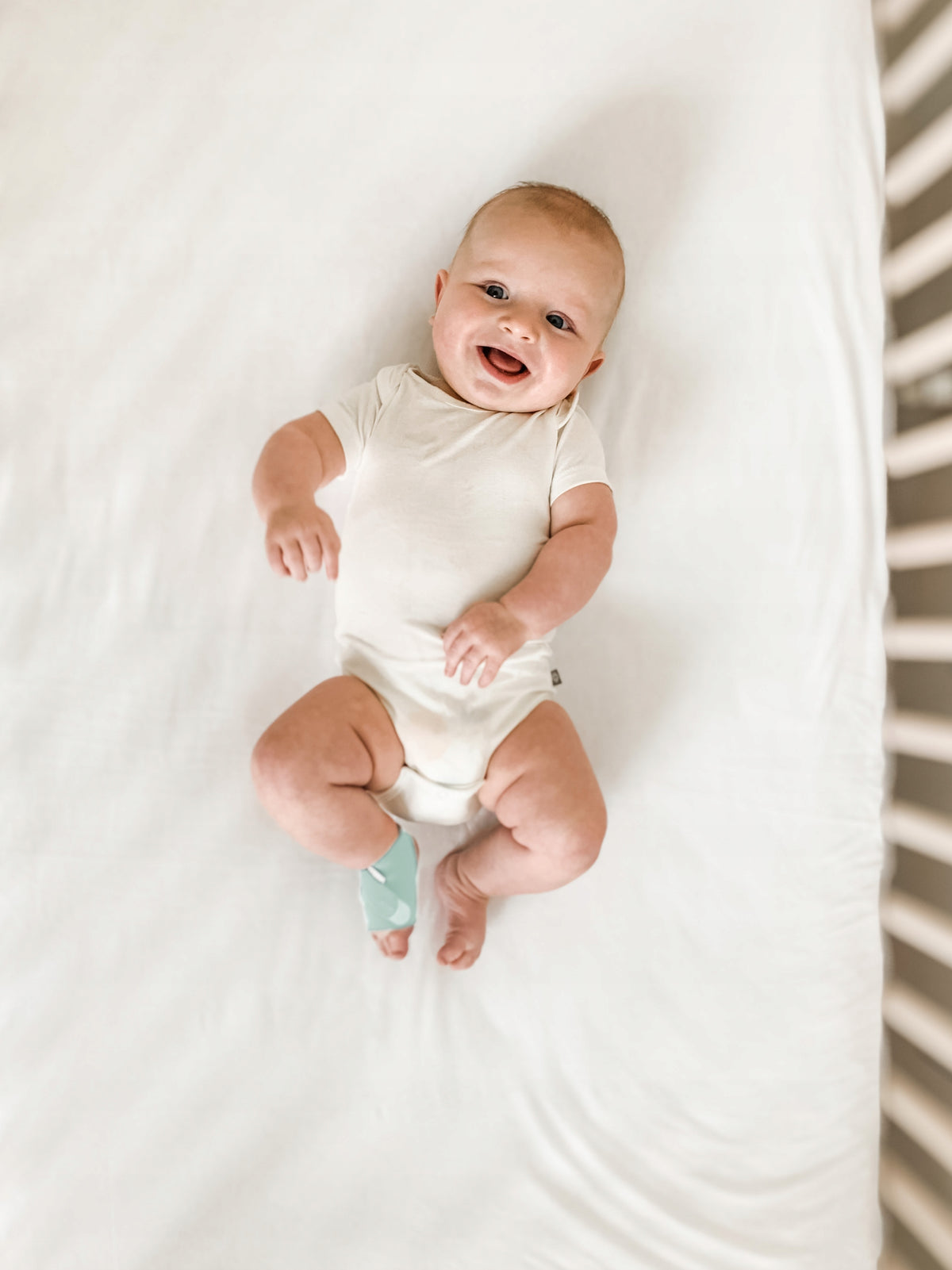 Owlet Dream Duo - Mint Brand Owlet