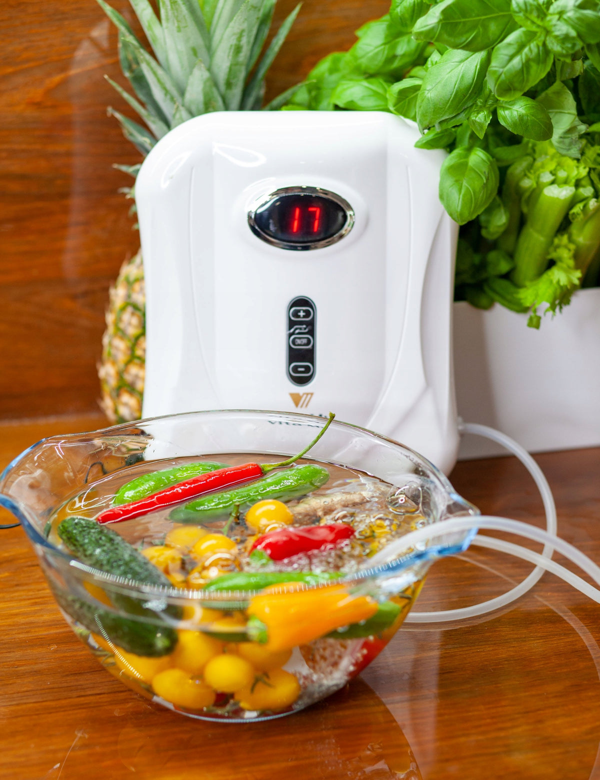 Ozonator Vita-My 500 mg/h for Car Home and Ozonation of Vegetables and Fruits Packaging status original