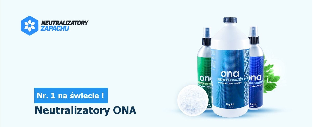 Ozone generator PowAir 30 000mg/h ODOR REMOVAL - DISINFECTION Power 100 W
