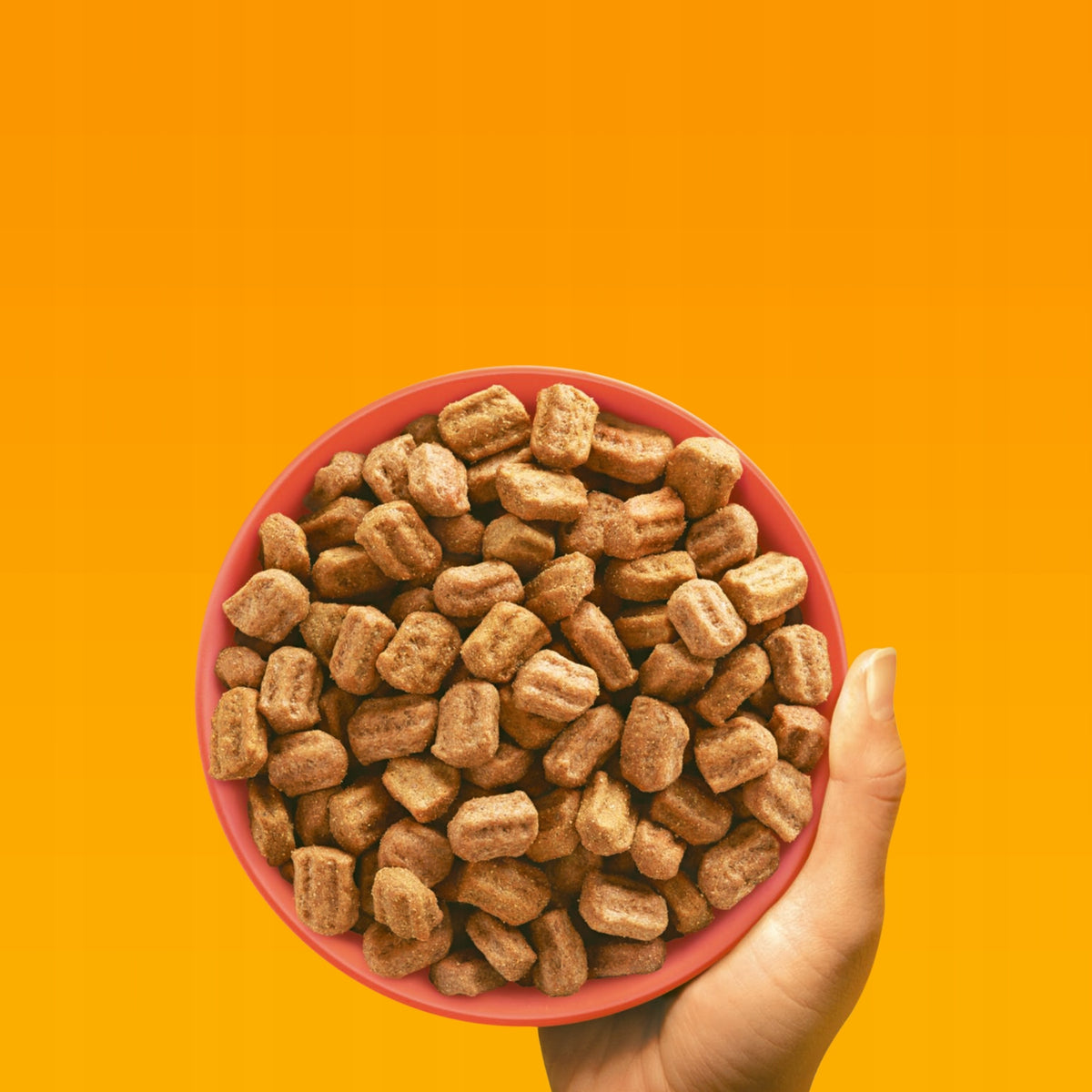 PEDIGREE dry dog food beef vegetables 12kg Manufacturer code 4008429162114