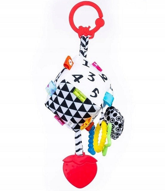 PENDANT SENSORY CUBE BALIBAZOO DUMEL 80138 Kid's age 0＋