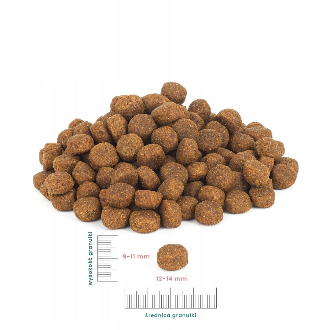 PERRO Grain-Free Veal Food with Batatas Medium Large Breeds 12kg for Dog Brand Perro