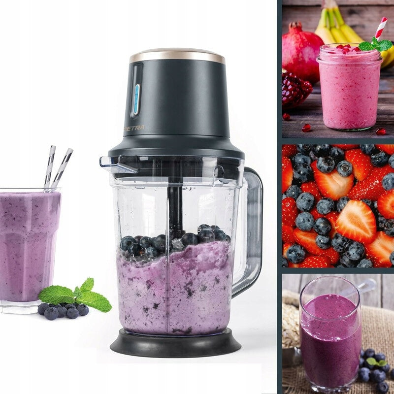 PETRA 071769 200 CUP BLENDER IN SILVER/GREY