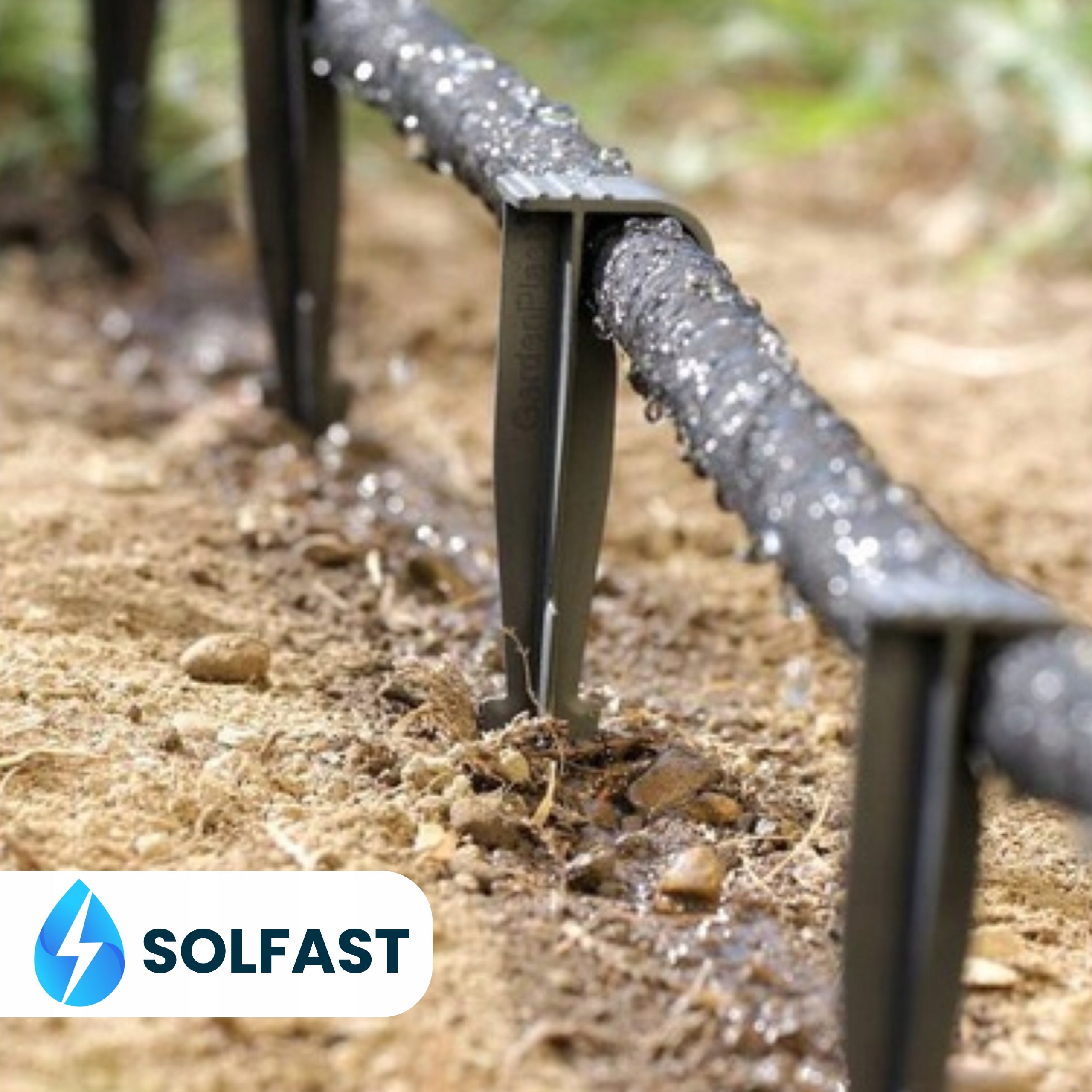 PINS FOR MOUNTING DRIP LINE PIPE 100 PCS. SET SOLFAST Manufacturer code UCHWYTY do LINII KROPLUJĄCEJ RURY 50 szt