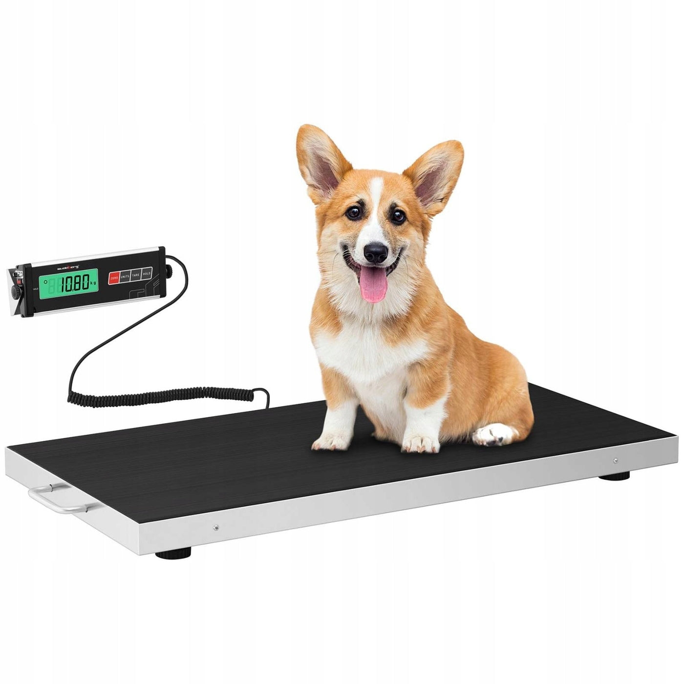 PLATFORM VETERINARY SCALE 300/0,1 kg 95x50 cm Manufacturer code SBS-PS-300