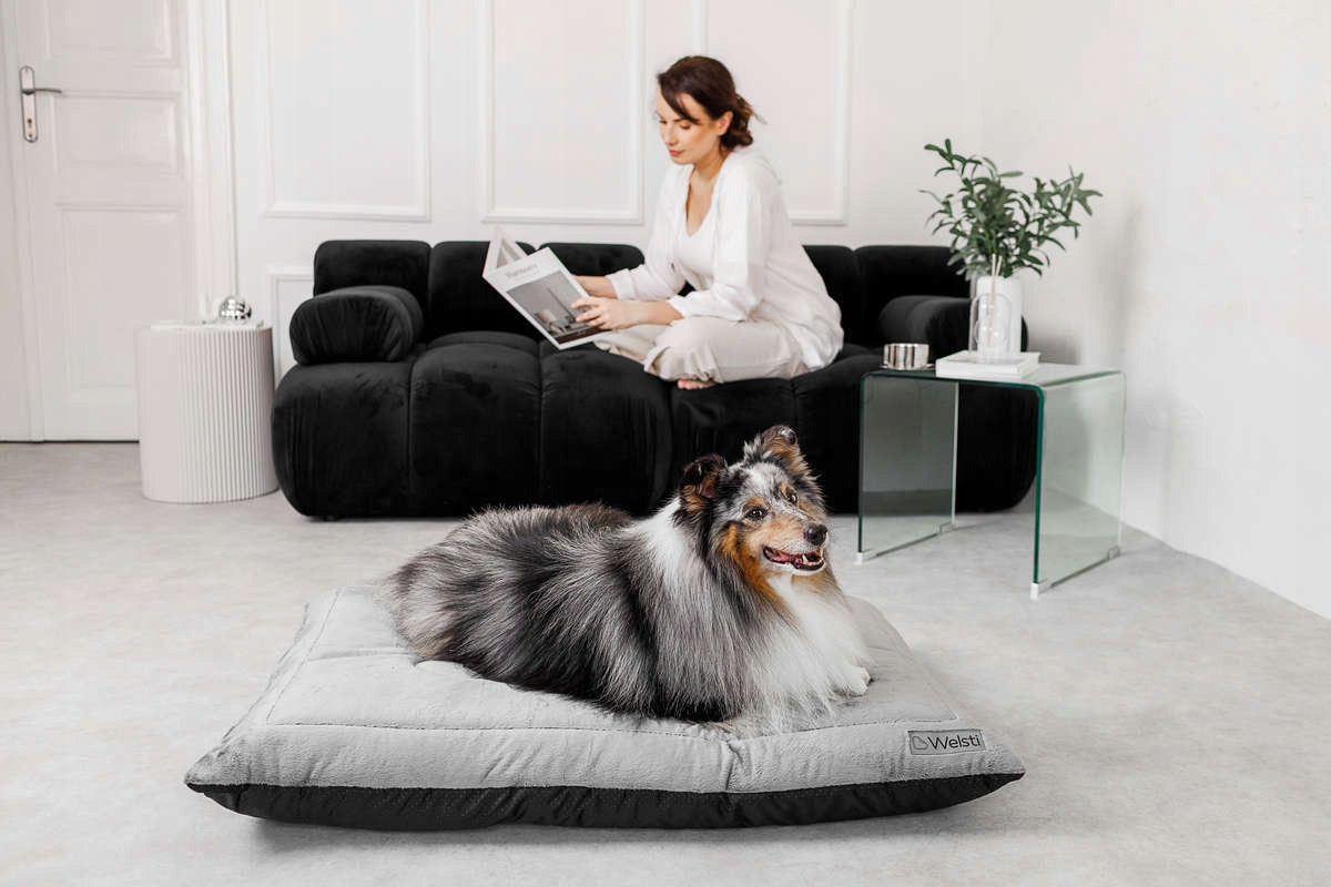 PLUSH dog bed sleeping bed Welsti large 100x70 fluffy warm Brand Welsti
