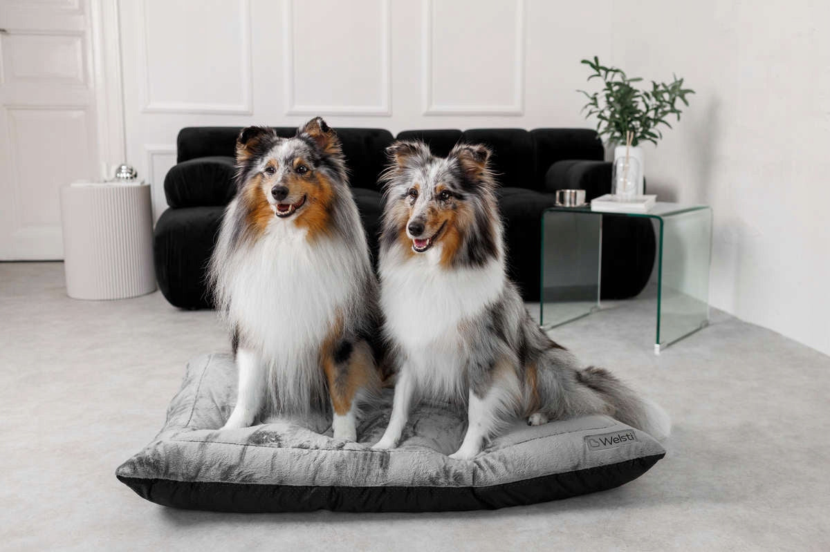PLUSH dog bed sleeping bed Welsti large 100x70 fluffy warm Manufacturer code 547-uniw