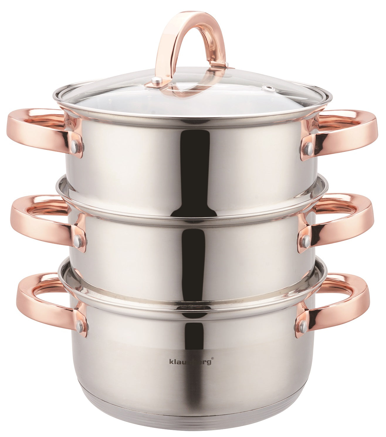 POT 2,5L STEAMING induction stainless steel pot + 2 CARTRIDGES