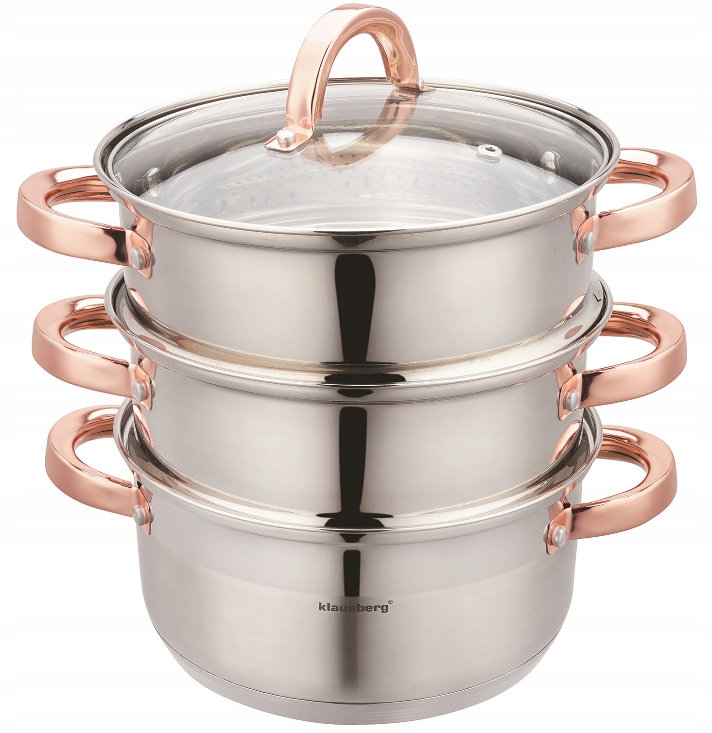 POT 3,1L STEAMING induction stainless steel pot + 2 CARTRIDGES