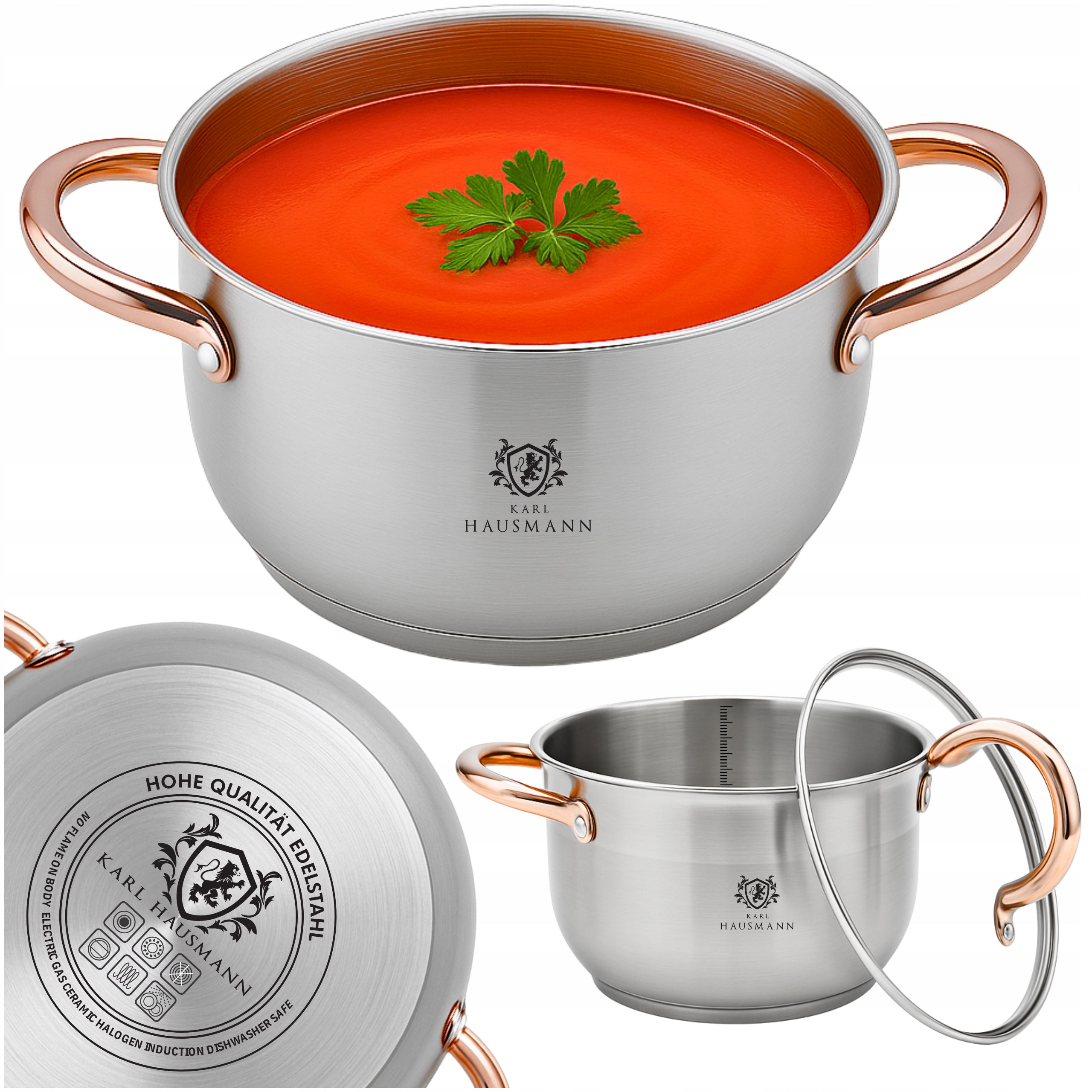 POT INDUCTION STAINLESS STEEL GAS 1,3L 14cm WITH LID POTS GOLD