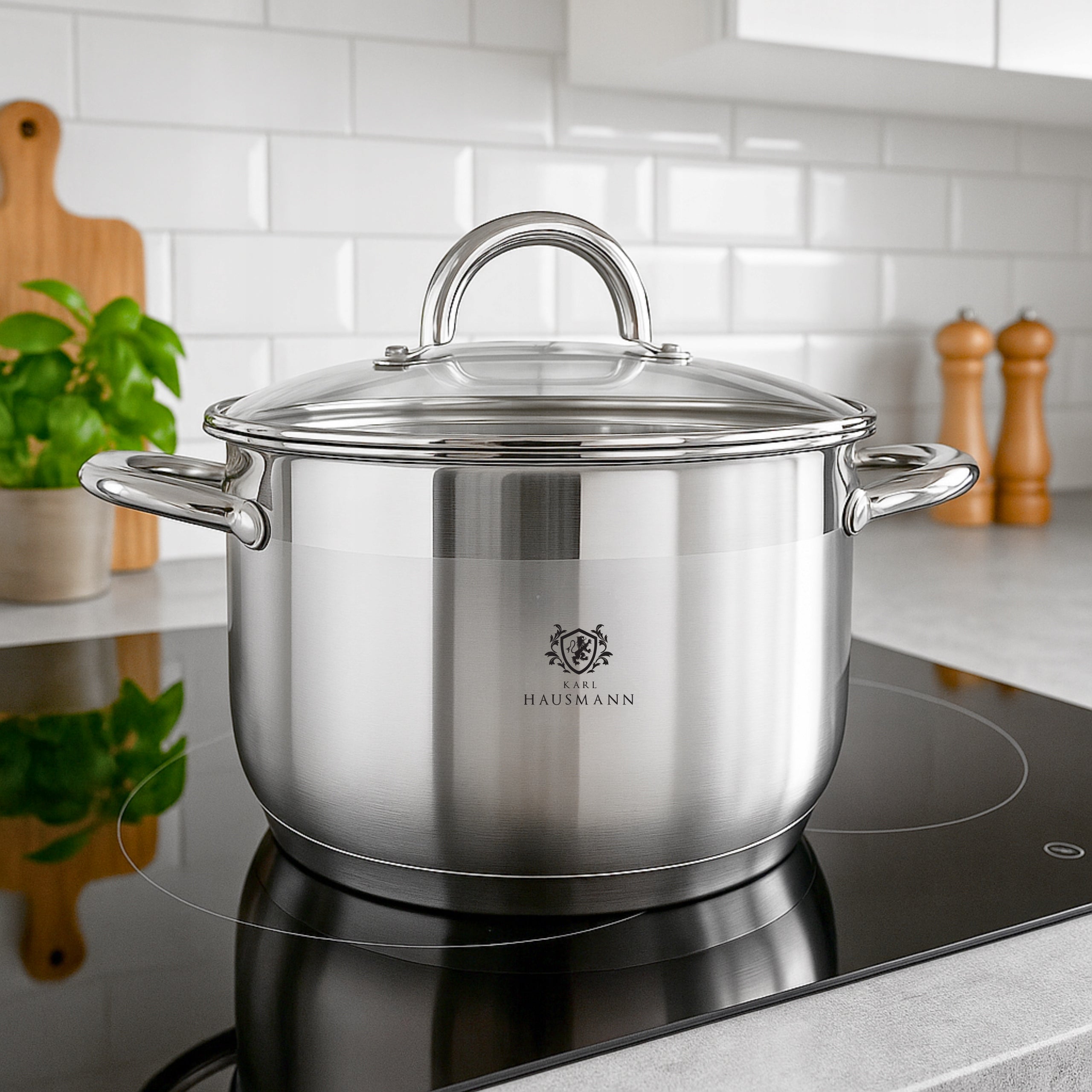 POT INDUCTION STAINLESS STEEL GAS 3L 20cm WITH LID POTS SOLID Packaging status original
