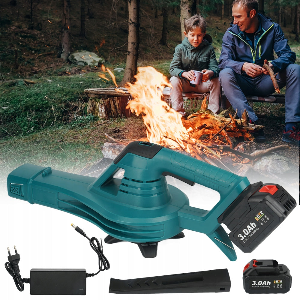 POWERFUL BATTERY BLOWER 350 KM/H 2X LARGE BATTERY OF SLEEP DEHUMIDIFICATION LEAVES Brand Bedee