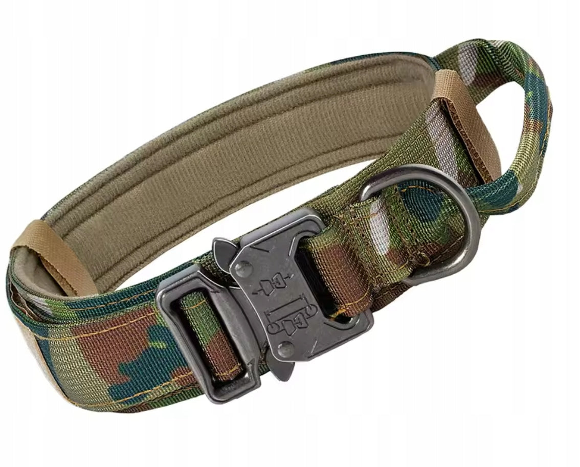 PROFESSIONAL TACTICAL DOG COLLAR METAL BUCKLE STRONG LEASH 34-44 CM M EAN (GTIN) 5903794442191