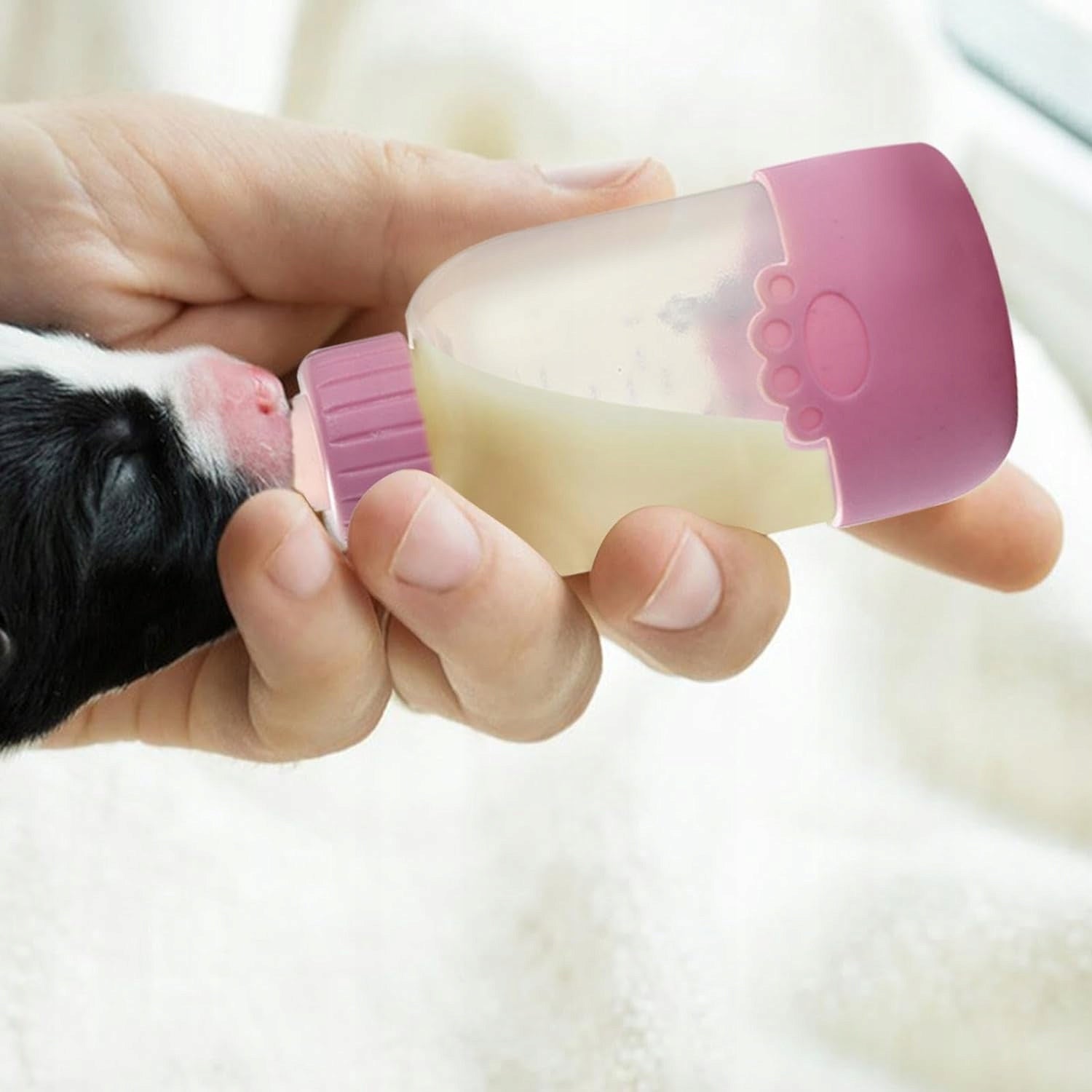 PUPPY KITTEN FEEDING BOTTLE SET WITH PACIFIERS BRUSH UNCLOGGER Brand no brand
