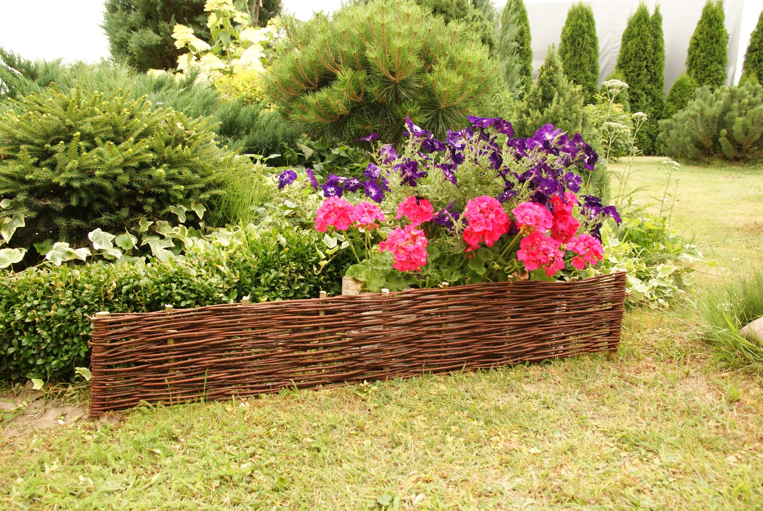 Palisade wicker edge Impregnated + Freebies Color brown